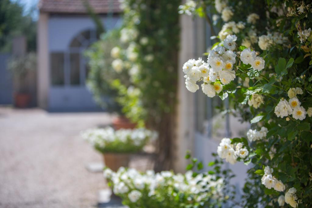 Blanche Fleur Hotel Châteauneuf-de-Gadagne Eksteriør billede